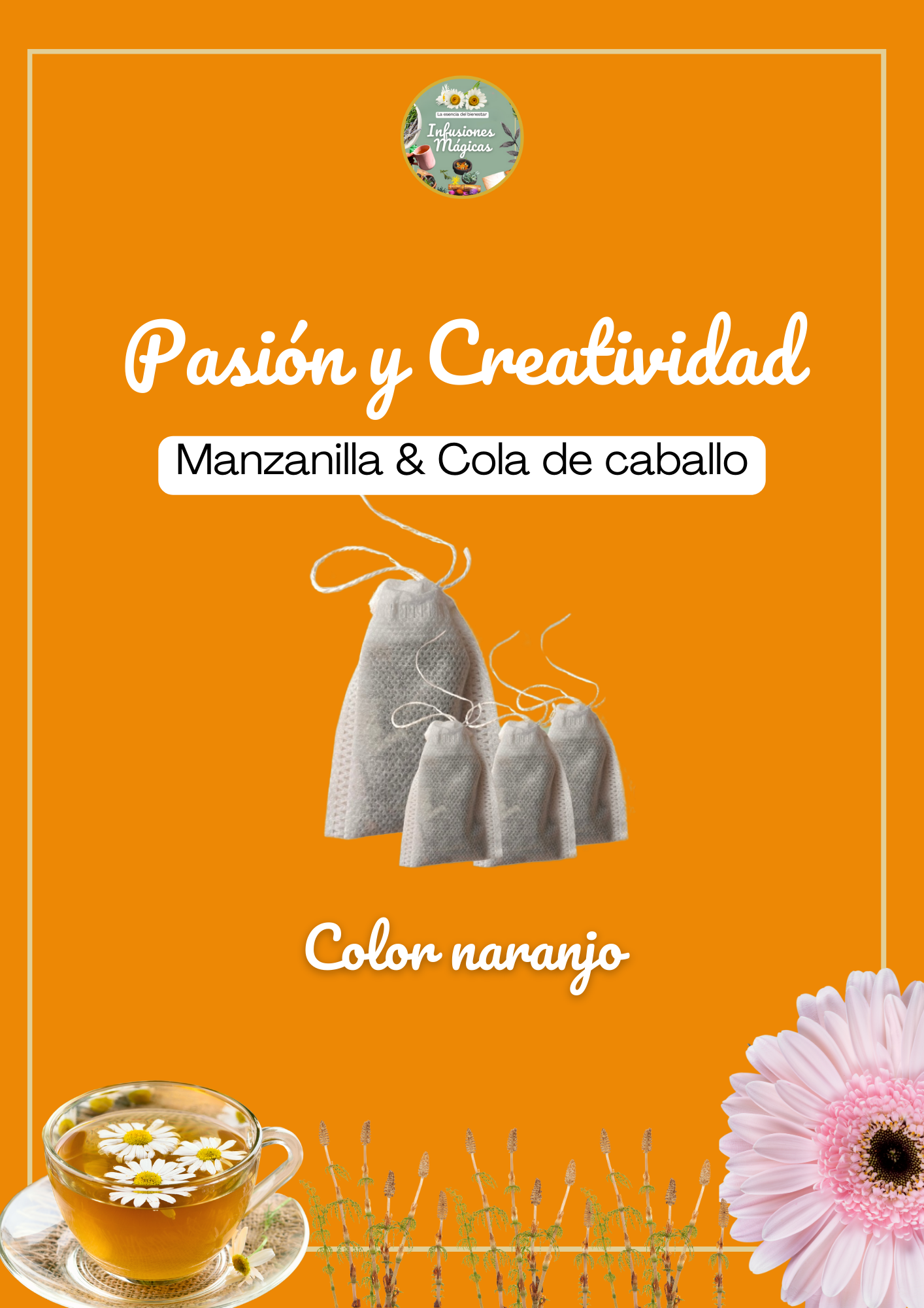 Pasión y Creatividad - Color Naranja